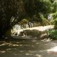 27935 W Winding Way, Malibu, CA 90265 ID:1868734