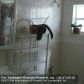 7308 NW 60TH ST, Fort Lauderdale, FL 33321 ID:4481714