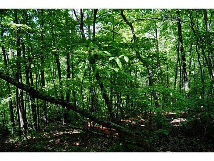 87 Road 1950, Hiawassee, GA 30546