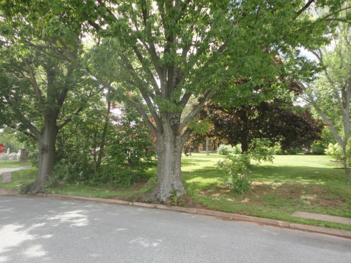 105 N BROAD STREET, Adamstown, PA 19501