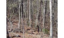 49 Green Meadow Dahlonega, GA 30533