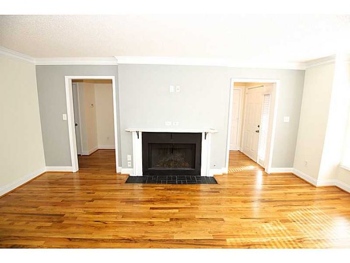 Unit 239 - 239 Peachtree Hollow Court, Atlanta, GA 30328