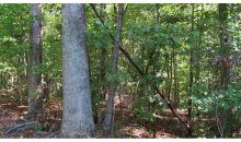 0 Charles Cobb Lane Canton, GA 30115