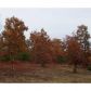 16 Stone Hearth Drive, Cleveland, GA 30528 ID:2444988