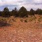 7354 Bird Dog Circle Lot B, Williams, AZ 86046 ID:1134361
