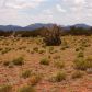 7354 Bird Dog Circle Lot B, Williams, AZ 86046 ID:1134366