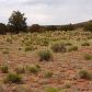 7354 Bird Dog Circle Lot B, Williams, AZ 86046 ID:1134368