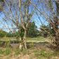 173 RD AVE, Homestead, FL 33030 ID:5915659