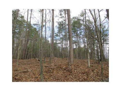 0 Bozeman Road, White, GA 30184