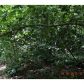 3 Hill City Road, Jasper, GA 30143 ID:3508103