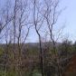 4446 Bee Tree Ridge Drive, Jasper, GA 30143 ID:3508060