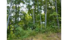 2194 Bugscuffle Spur Hiawassee, GA 30546