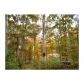 290 Charity Road, Homer, GA 30547 ID:4461784