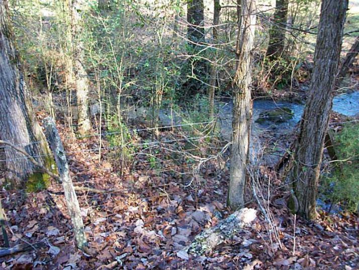 0 Ringers Road, Fairmount, GA 30139