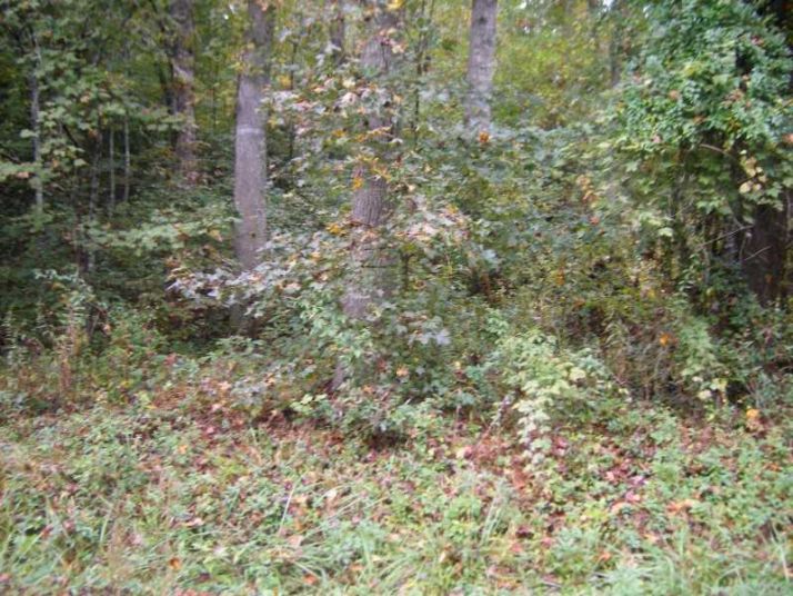 589 Banner Circle, Ellijay, GA 30540