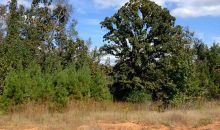 4140 Liberty Church Road White Plains, GA 30678