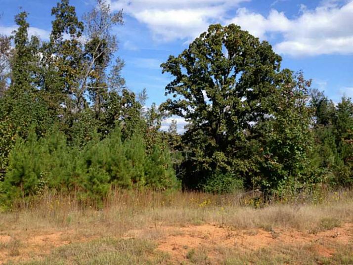 4140 Liberty Church Road, White Plains, GA 30678