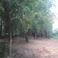0 Grand Avenue, Fairhope, AL 36532 ID:1524751