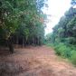 0 Grand Avenue, Fairhope, AL 36532 ID:1524752