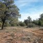 Lot 18B Hwy 260, Payson, AZ 85541 ID:1932777