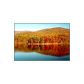 1760 Cutthroat Ridge, Jasper, GA 30143 ID:2430757
