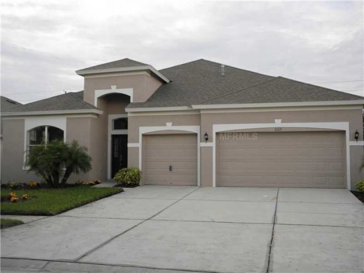 31313 ANNISTON DR, Wesley Chapel, FL 33543