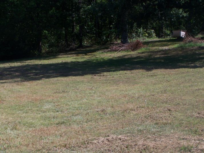 437 Polk Road 93, Mena, AR 71953