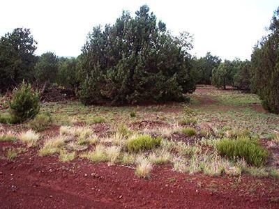 1445 Mustang Blvd, Williams, AZ 86046