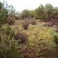 1445 Mustang Blvd, Williams, AZ 86046 ID:1134398
