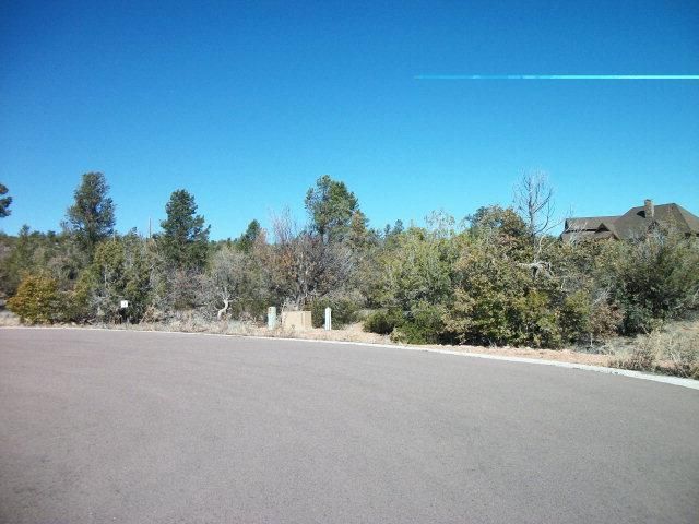 1204 W. Norris Court, Payson, AZ 85541