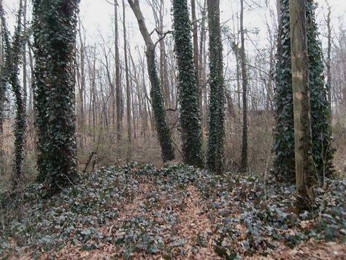 0 Rogers Drive, Douglasville, GA 30134