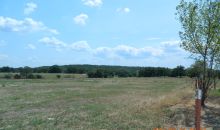 CR 3333 Clarksville, AR 72830