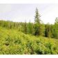 1030 Ridgepointe Drive, Fairbanks, AK 99709 ID:1363859