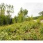 1030 Ridgepointe Drive, Fairbanks, AK 99709 ID:1363863