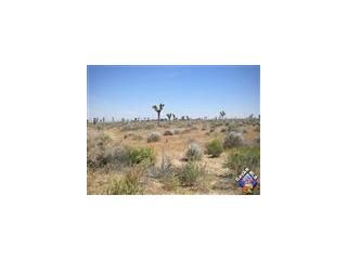 143rd St E, Lancaster, CA 93535