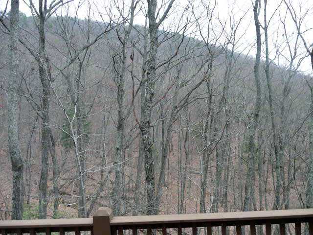 49 Laughing Fox Knoll, Jasper, GA 30143