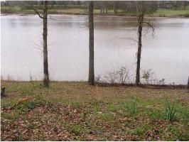 00 Lakewood Dr., Muscle Shoals, AL 35661