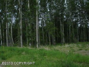 7603 E Downstream Drive, Palmer, AK 99645