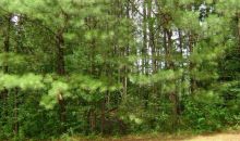 5250 Oglethorpe Court Powder Springs, GA 30127