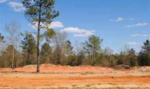 Lot 11 County Road 539 Enterprise, AL 36330