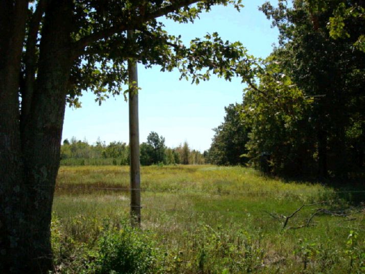 56.56 Acres CR 931, Jonesboro, AR 72403
