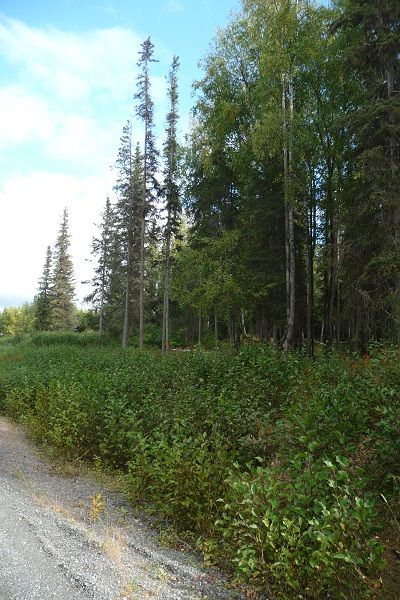L9 Opengate Court, Sterling, AK 99672