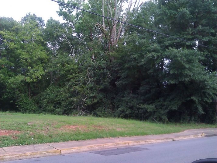 808 N Gay St, Auburn, AL 36830