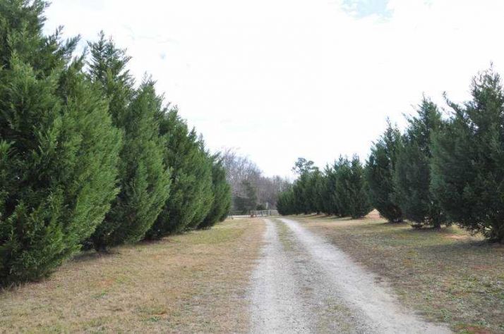 929 S Fairview Road, Carnesville, GA 30521