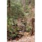 0 Mitchell Cove Road, Hiawassee, GA 30546 ID:6041627