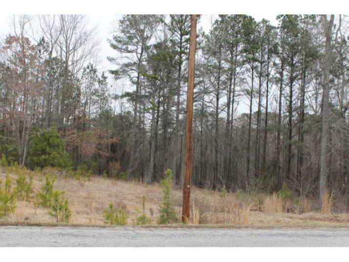 8208 Chicago Avenue, Douglasville, GA 30134