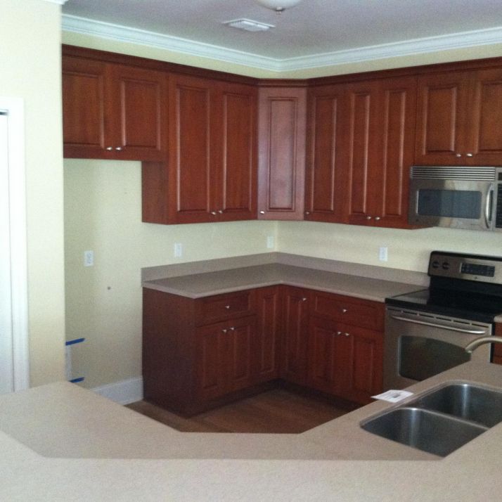 1575 Paul Russell Road 3104, Tallahassee, FL 32301