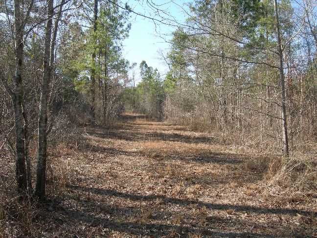 0 Pitts Chapel Road, Newborn, GA 30056