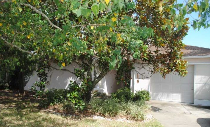 317 Guido Ave, Lady Lake, FL 32159