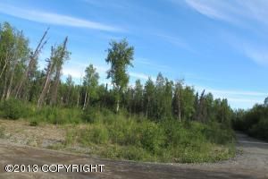 L1 B2 W Coghlan Circle, Wasilla, AK 99654